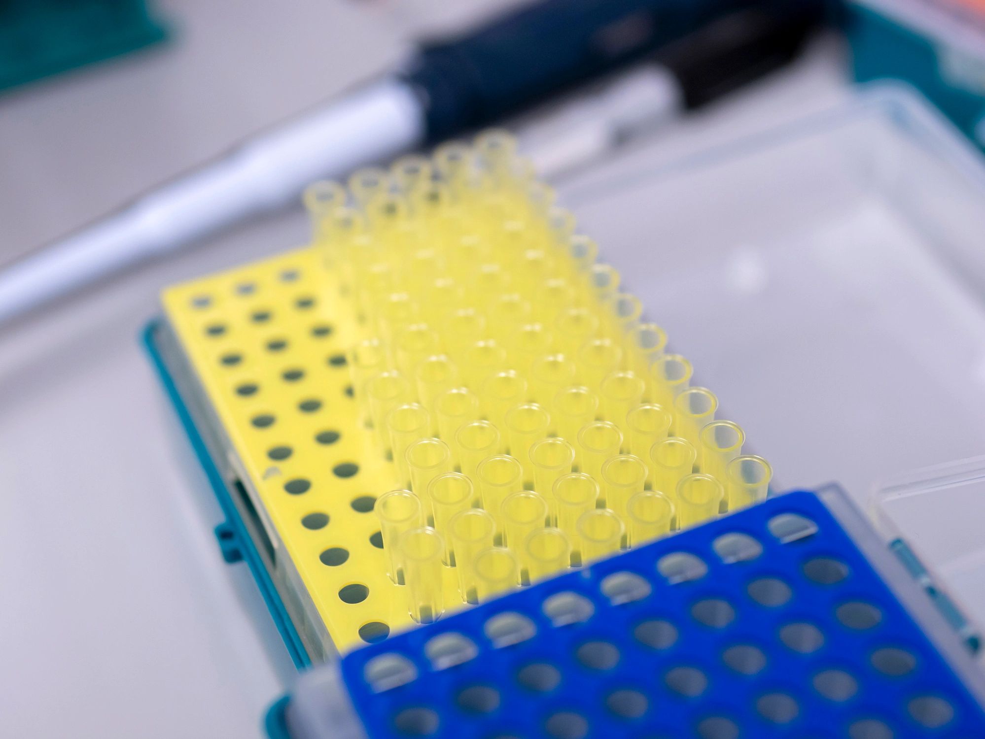 96 well micro plate and pipettes used in biologics laboratory research